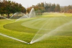 Show products in category Lawn Irrigation and Synthetic Turf Cooling Picture for category Lawn Irrigation and Synthetic Turf Cooling