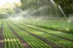 Show products in category Hobby Farm & Garden Irrigation Picture for category Hobby Farm & Garden Irrigation