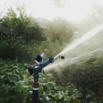 Impact Atom 22 sprinkler on small vegetable garden irrigation