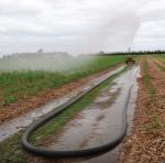 Angus Flowmaster TPU Drag Hose Soft Hose Irrigator